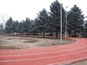 pista-alergare-sala-sporturilor-olimpia-ploiesti-1_f0e27de61fb48d